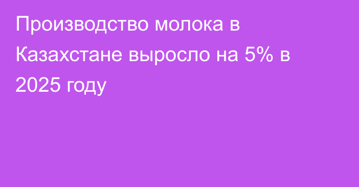 Производство молока в Казахстане выросло на 5% в 2025 году