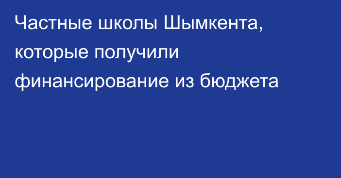 Частные школы Шымкента, которые получили финансирование из бюджета