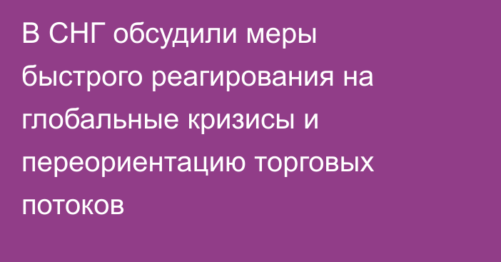 В СНГ обсудили меры быстрого реагирования на глобальные кризисы и переориентацию торговых потоков