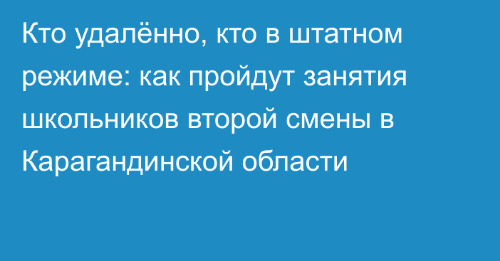 Кто удалённо, кто в штатном режиме: как пройдут занятия школьников второй смены в Карагандинской области