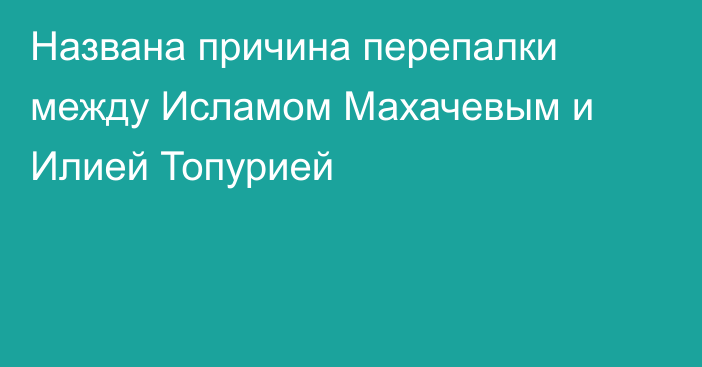 Названа причина перепалки между Исламом Махачевым и Илией Топурией