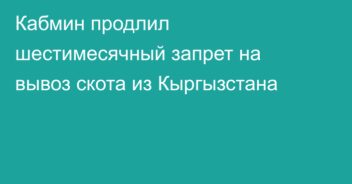 Кабмин продлил шестимесячный запрет на вывоз скота из Кыргызстана