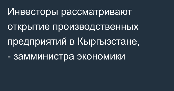 Инвесторы рассматривают открытие производственных предприятий в Кыргызстане, - замминистра экономики