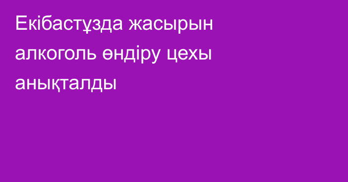 Екібастұзда жасырын алкоголь өндіру цехы анықталды