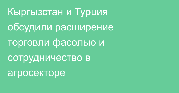 Кыргызстан и Турция обсудили расширение торговли фасолью и сотрудничество в агросекторе