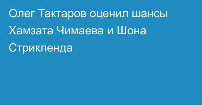 Олег Тактаров оценил шансы Хамзата Чимаева и Шона Стрикленда
