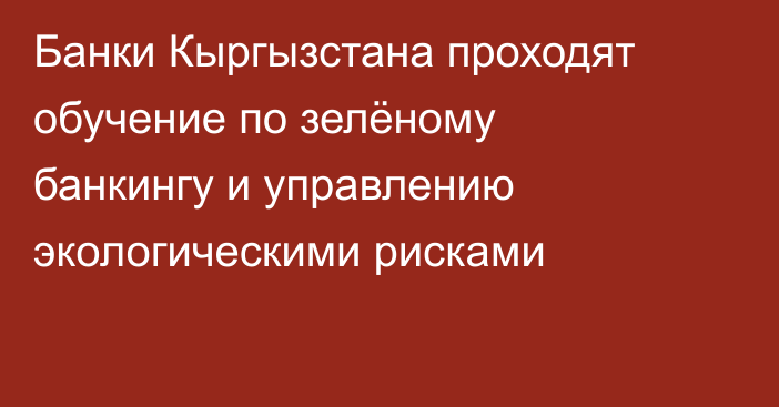 Банки Кыргызстана проходят обучение по зелёному банкингу и управлению экологическими рисками