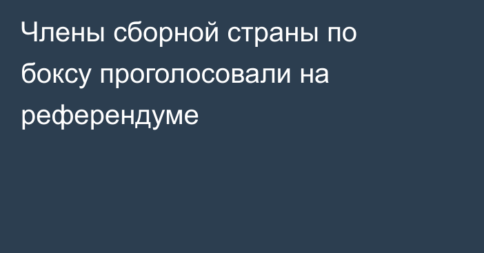Члены сборной страны по боксу проголосовали на референдуме