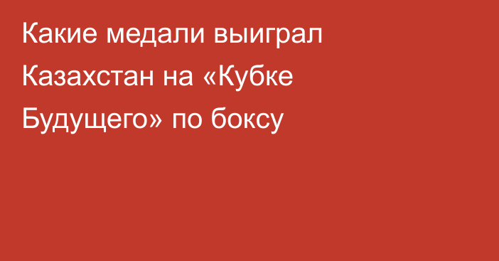 Какие медали выиграл Казахстан на «Кубке Будущего» по боксу