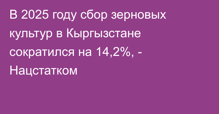 В 2025 году сбор зерновых культур в Кыргызстане сократился на 14,2%, - Нацстатком 
