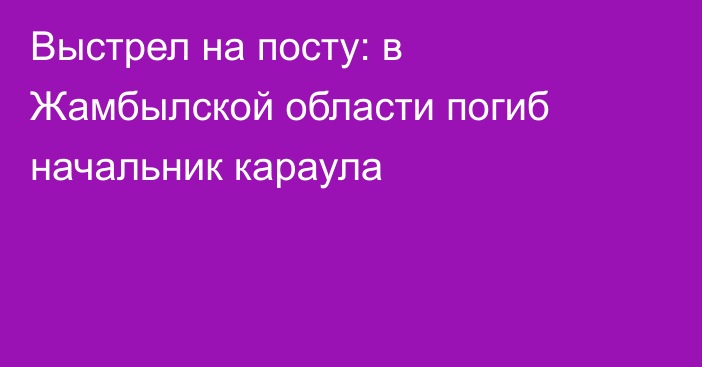 Выстрел на посту: в Жамбылской области погиб начальник караула