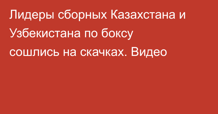 Лидеры сборных Казахстана и Узбекистана по боксу сошлись на скачках. Видео