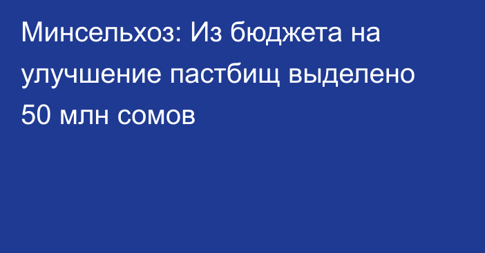 Минсельхоз: Из бюджета на улучшение пастбищ выделено 50 млн сомов