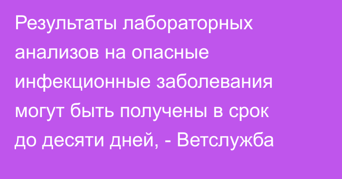 Результаты лабораторных анализов на опасные инфекционные заболевания могут быть получены в срок до десяти дней, - Ветслужба