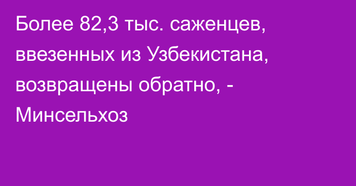 Более 82,3 тыс. саженцев, ввезенных из Узбекистана, возвращены обратно, - Минсельхоз