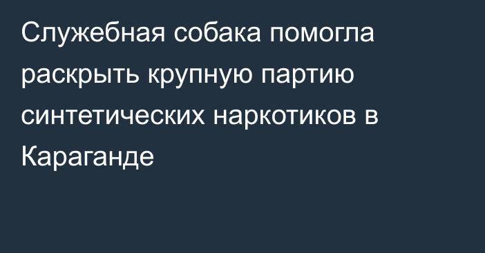 Служебная собака помогла раскрыть крупную партию синтетических наркотиков в Караганде
