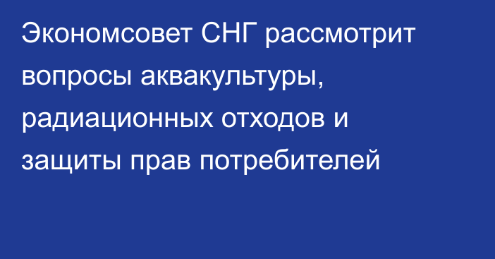 Экономсовет СНГ рассмотрит вопросы аквакультуры, радиационных отходов и защиты прав потребителей