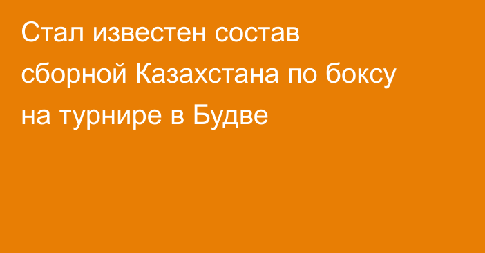 Стал известен состав сборной Казахстана по боксу на турнире в Будве