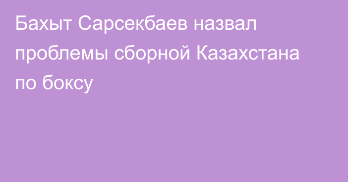Бахыт Сарсекбаев назвал проблемы сборной Казахстана по боксу