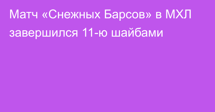 Матч «Снежных Барсов» в МХЛ завершился 11-ю шайбами