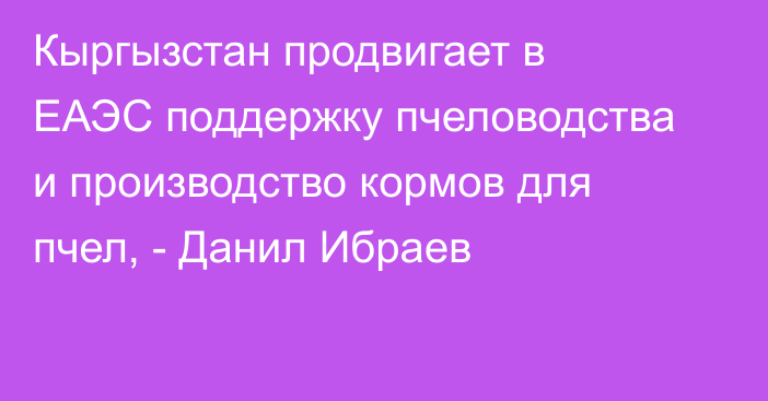 Кыргызстан продвигает в ЕАЭС поддержку пчеловодства и производство кормов для пчел, - Данил Ибраев