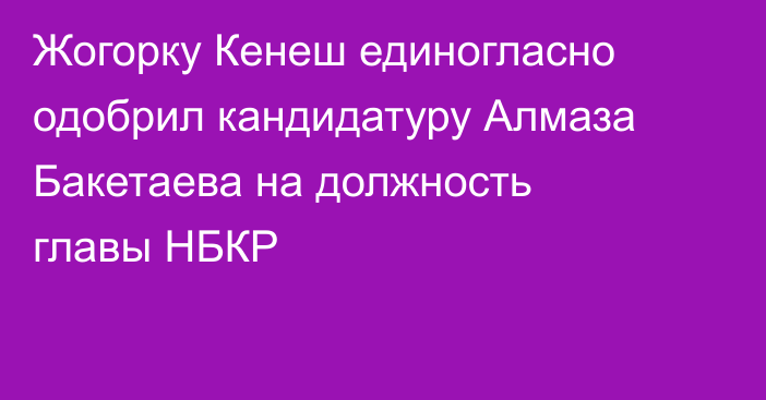 Жогорку Кенеш единогласно одобрил кандидатуру Алмаза Бакетаева на должность главы НБКР