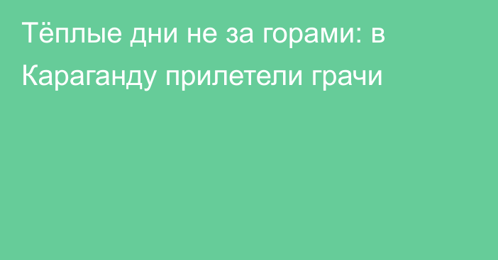 Тёплые дни не за горами: в Караганду прилетели грачи