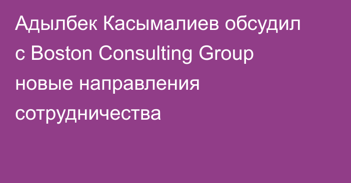 Адылбек Касымалиев обсудил с Boston Consulting Group новые направления сотрудничества