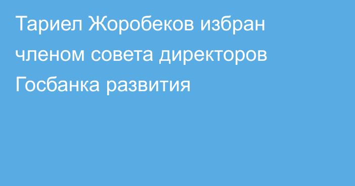 Тариел Жоробеков избран членом совета директоров Госбанка развития