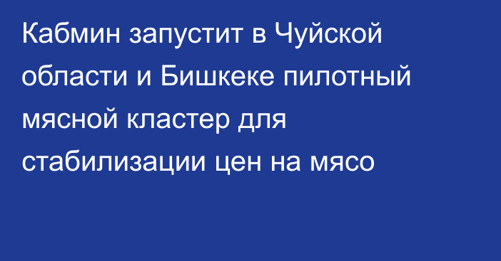 Кабмин запустит в Чуйской области и Бишкеке пилотный мясной кластер для стабилизации цен на мясо