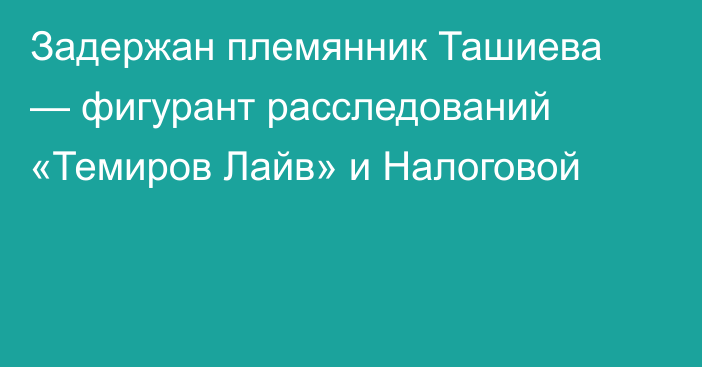 Задержан племянник Ташиева — фигурант расследований «Темиров Лайв» и Налоговой