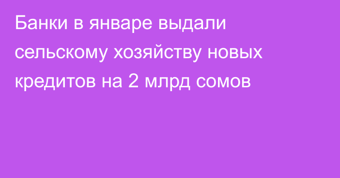 Банки в январе выдали сельскому хозяйству новых кредитов на 2 млрд сомов