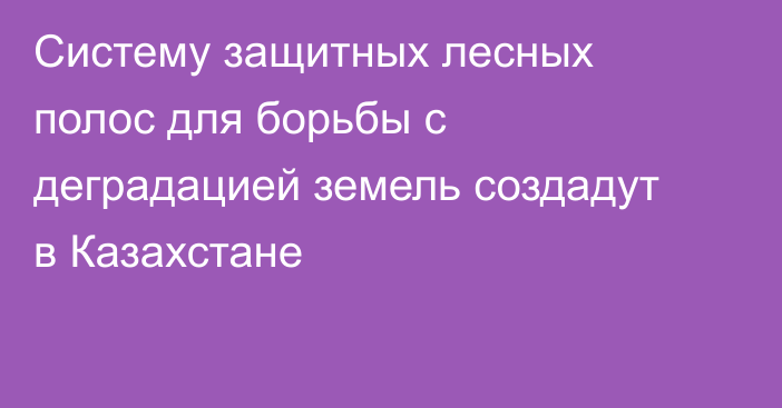 Систему защитных лесных полос для борьбы с деградацией земель создадут в Казахстане