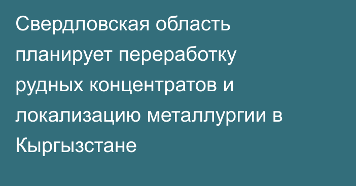 Свердловская область планирует переработку рудных концентратов и локализацию металлургии в Кыргызстане