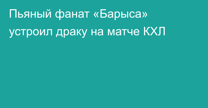 Пьяный фанат «Барыса» устроил драку на матче КХЛ