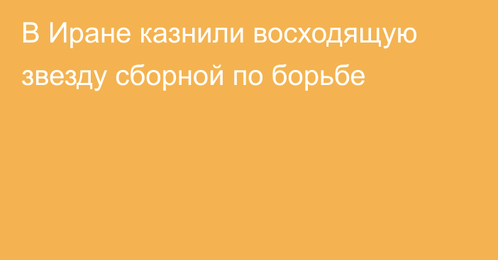 В Иране казнили восходящую звезду сборной по борьбе