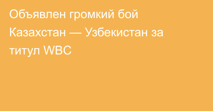 Объявлен громкий бой Казахстан — Узбекистан за титул WBC