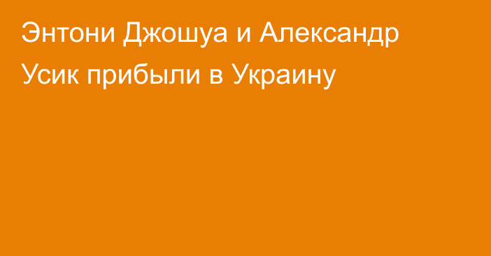 Энтони Джошуа и Александр Усик прибыли в Украину