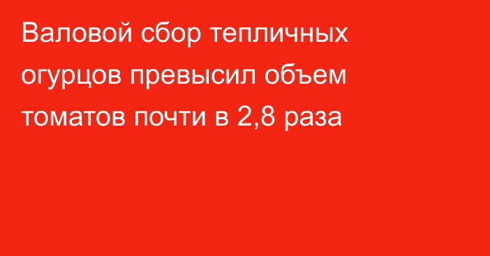 Валовой сбор тепличных огурцов превысил объем томатов почти в 2,8 раза