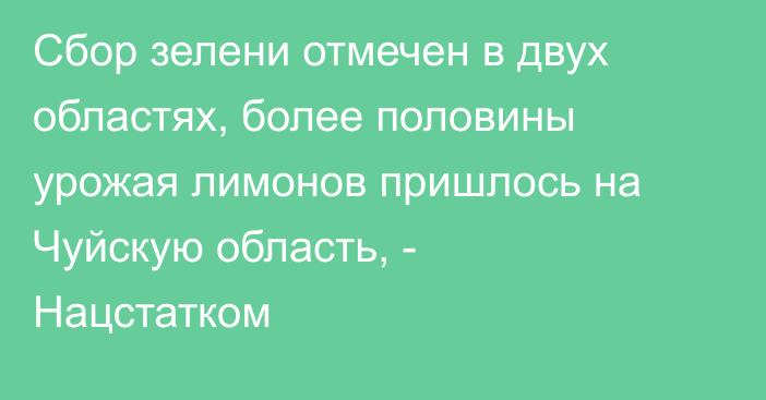 Сбор зелени отмечен в двух областях, более половины урожая лимонов пришлось на Чуйскую область, - Нацстатком