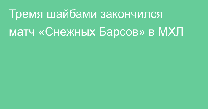 Тремя шайбами закончился матч «Снежных Барсов» в МХЛ