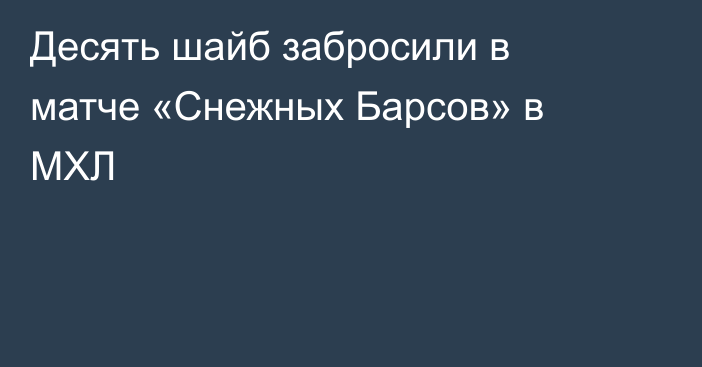 Десять шайб забросили в матче «Снежных Барсов» в МХЛ