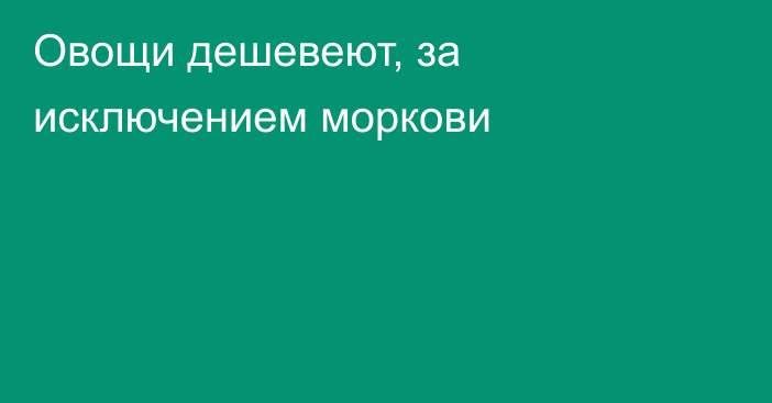 Овощи дешевеют, за исключением моркови