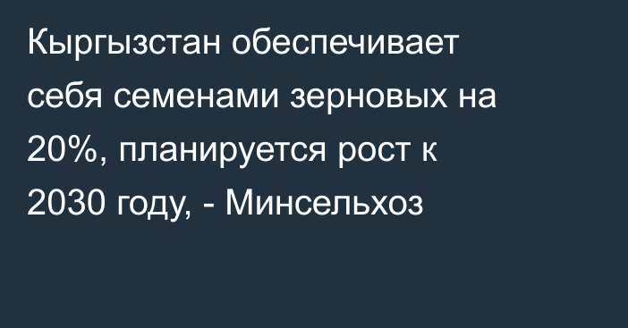 Кыргызстан обеспечивает себя семенами зерновых на 20%, планируется рост к 2030 году, - Минсельхоз