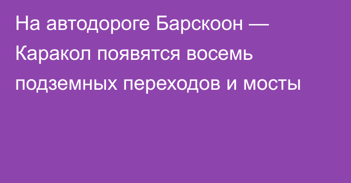 На автодороге Барскоон — Каракол появятся восемь подземных переходов и мосты
