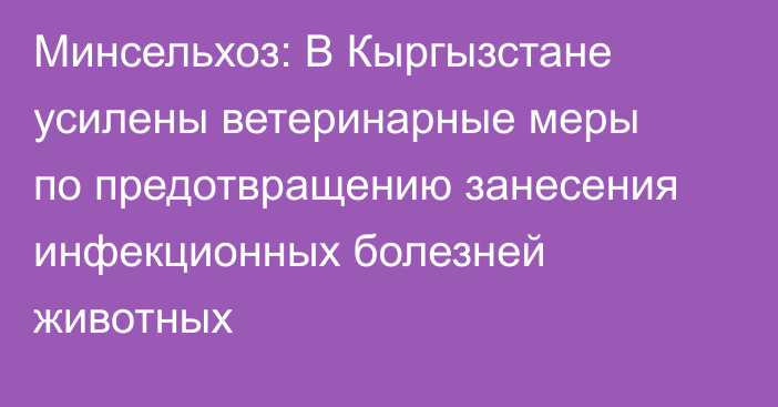 Минсельхоз: В Кыргызстане усилены ветеринарные меры по предотвращению занесения инфекционных болезней животных