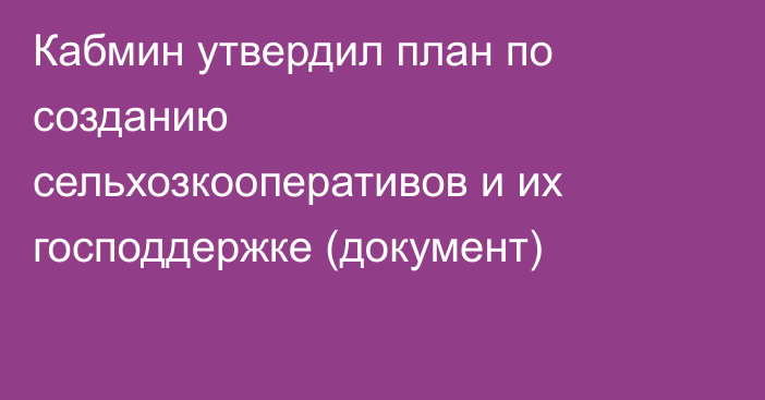 Кабмин утвердил план по созданию сельхозкооперативов и их господдержке (документ)