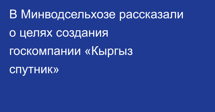 В Минводсельхозе рассказали о целях создания госкомпании «Кыргыз спутник»