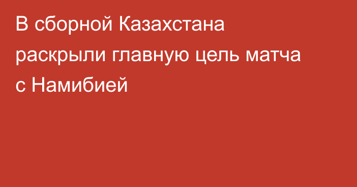 В сборной Казахстана раскрыли главную цель матча с Намибией
