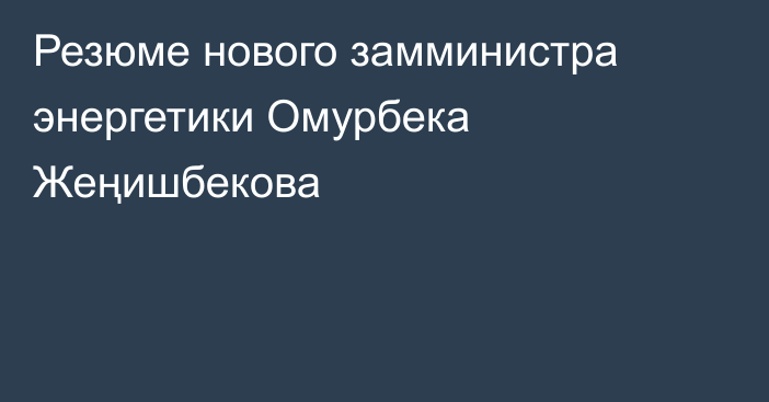Резюме нового замминистра энергетики Омурбека Жеңишбекова